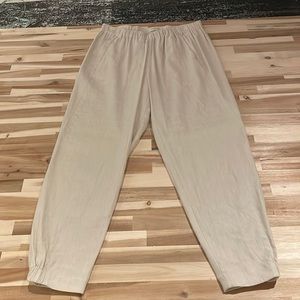 Aritzia Dexter linen beige pant. medium